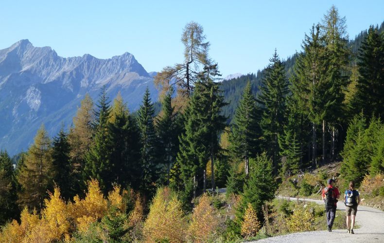 Wald Huette Wandern in den Tuxer Alpen 4