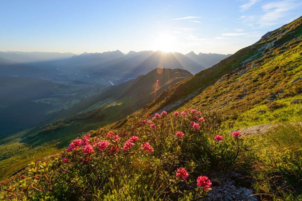 Berglandschaft