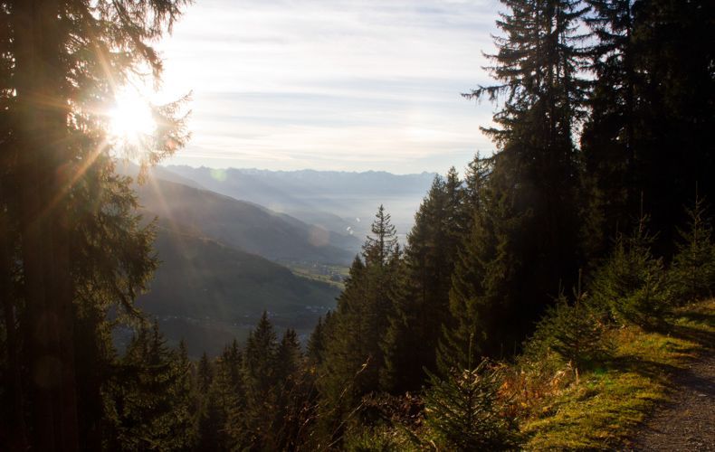 Wald Huette Herbsturlaub Tirol 10