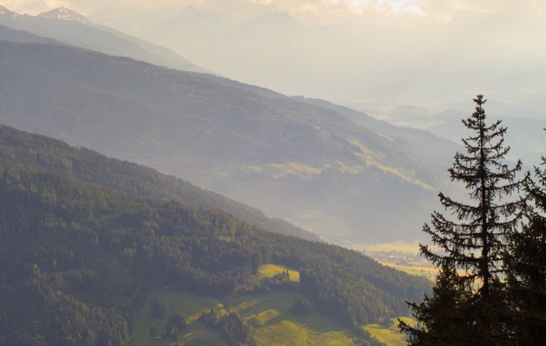 Wald Huette Wanderurlaub Tirol 6