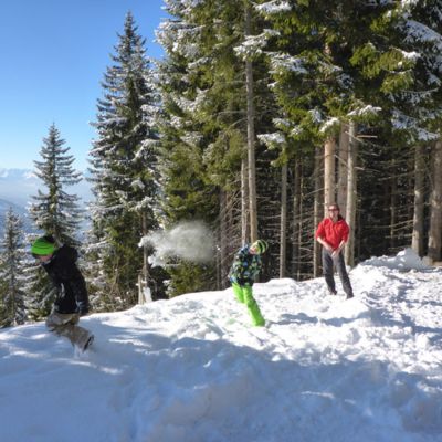 Wald Huette Winter Urlaub Tirol 10