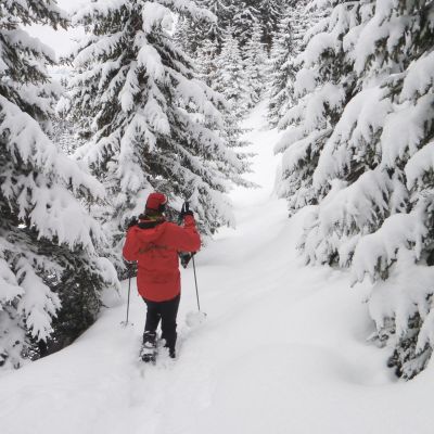 Wald Huette Schneeschuhwandern auf Trappers Spuren 3